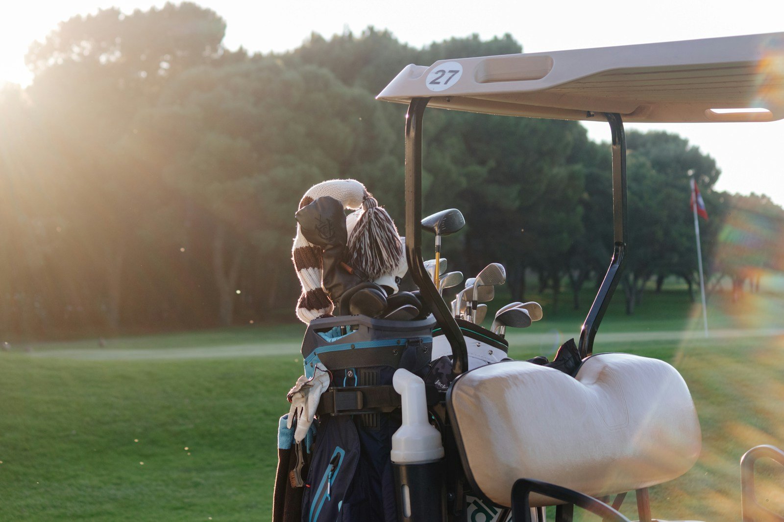 a set of golf clubs organized in a stand bag, similar to what comes with a top flite women's golf clubs set
