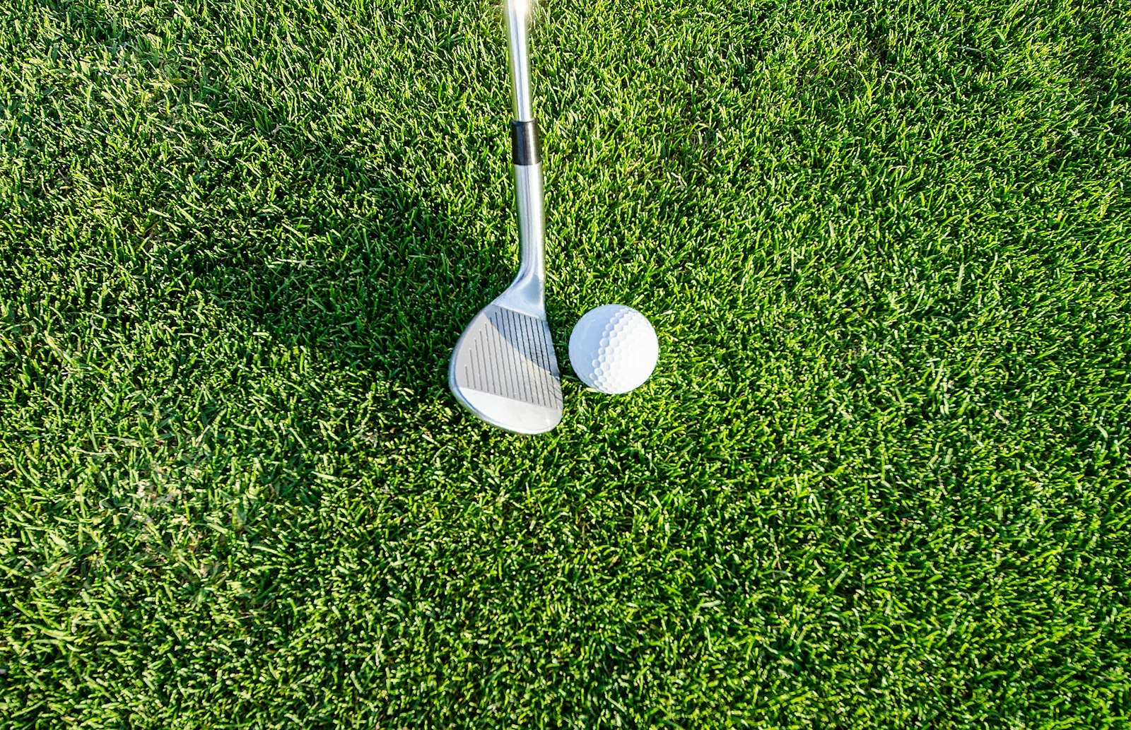 Close-up of a golf club head and ball resting on the fairway grass