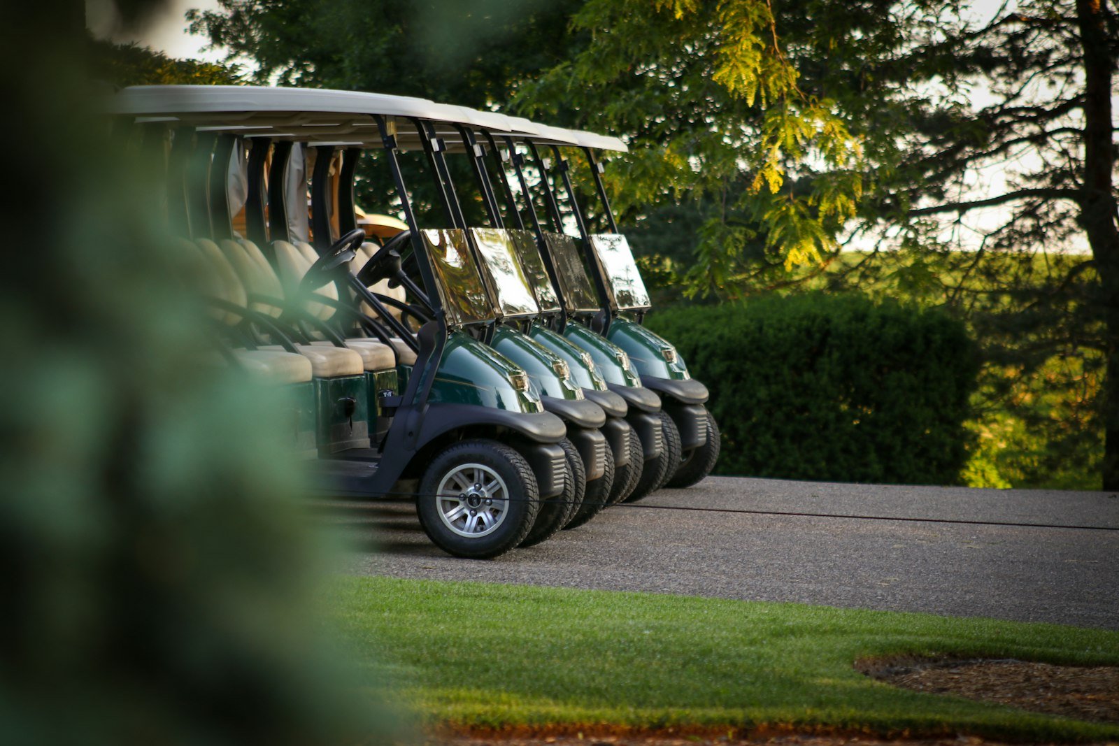 A row of golf carts with hinged, fold-down windshields folded flat over the hood