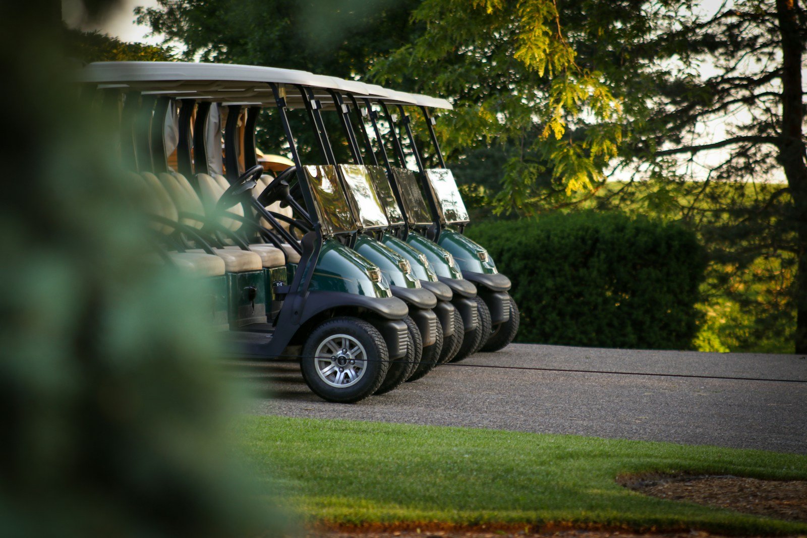 Golf cart 6 seater and 4-seater models parked in a row on a paved road