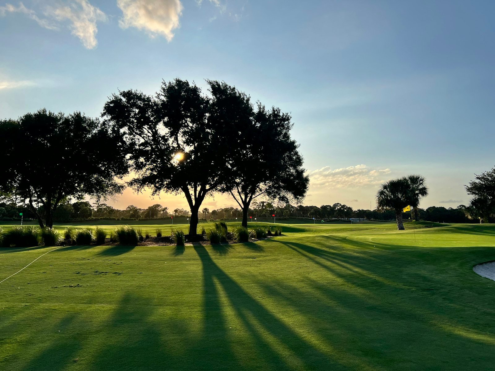 Golf green surrounded by trees on a 9-hole course