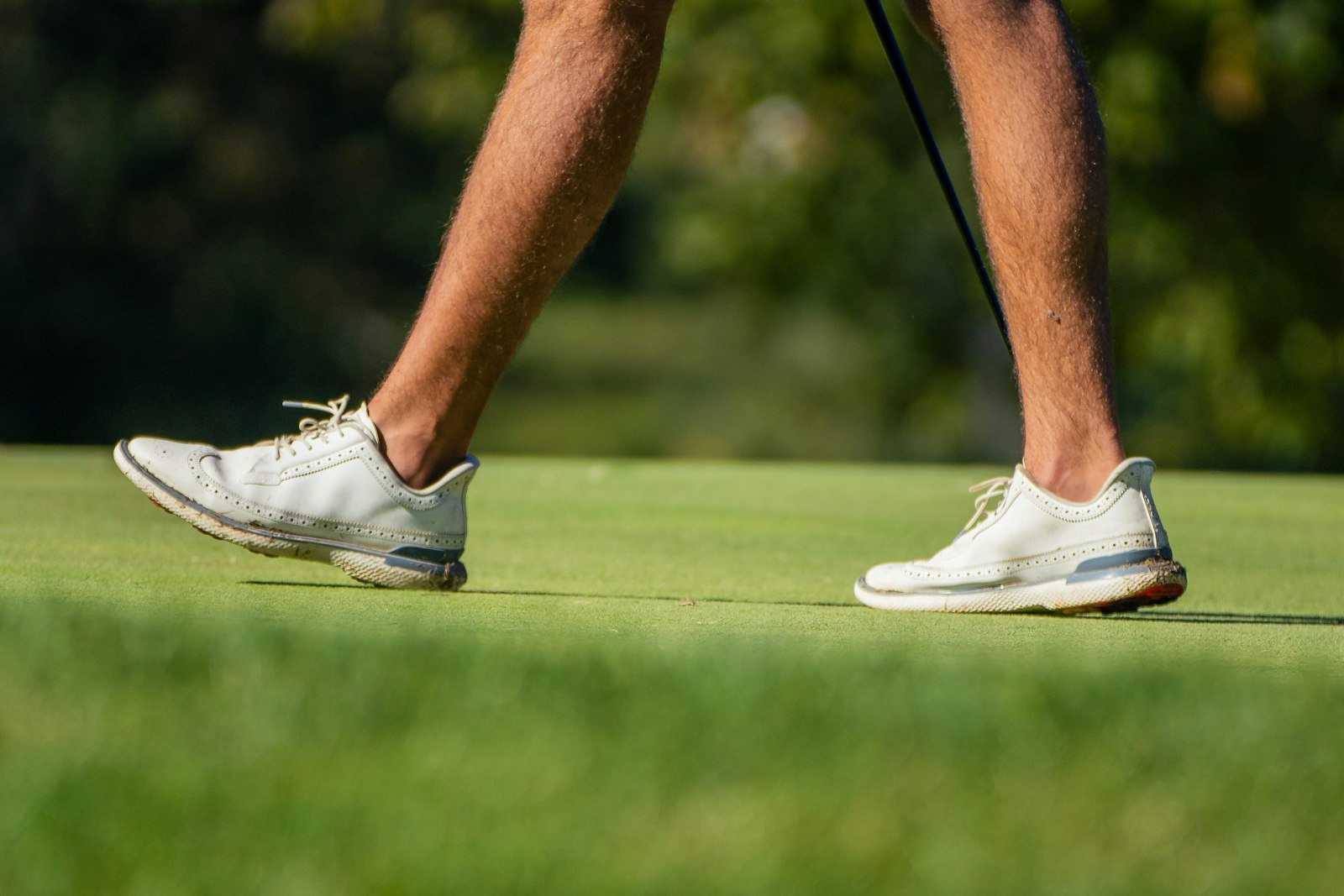 Close-up of a golfer's white spikeless golf shoes walking across a putting green