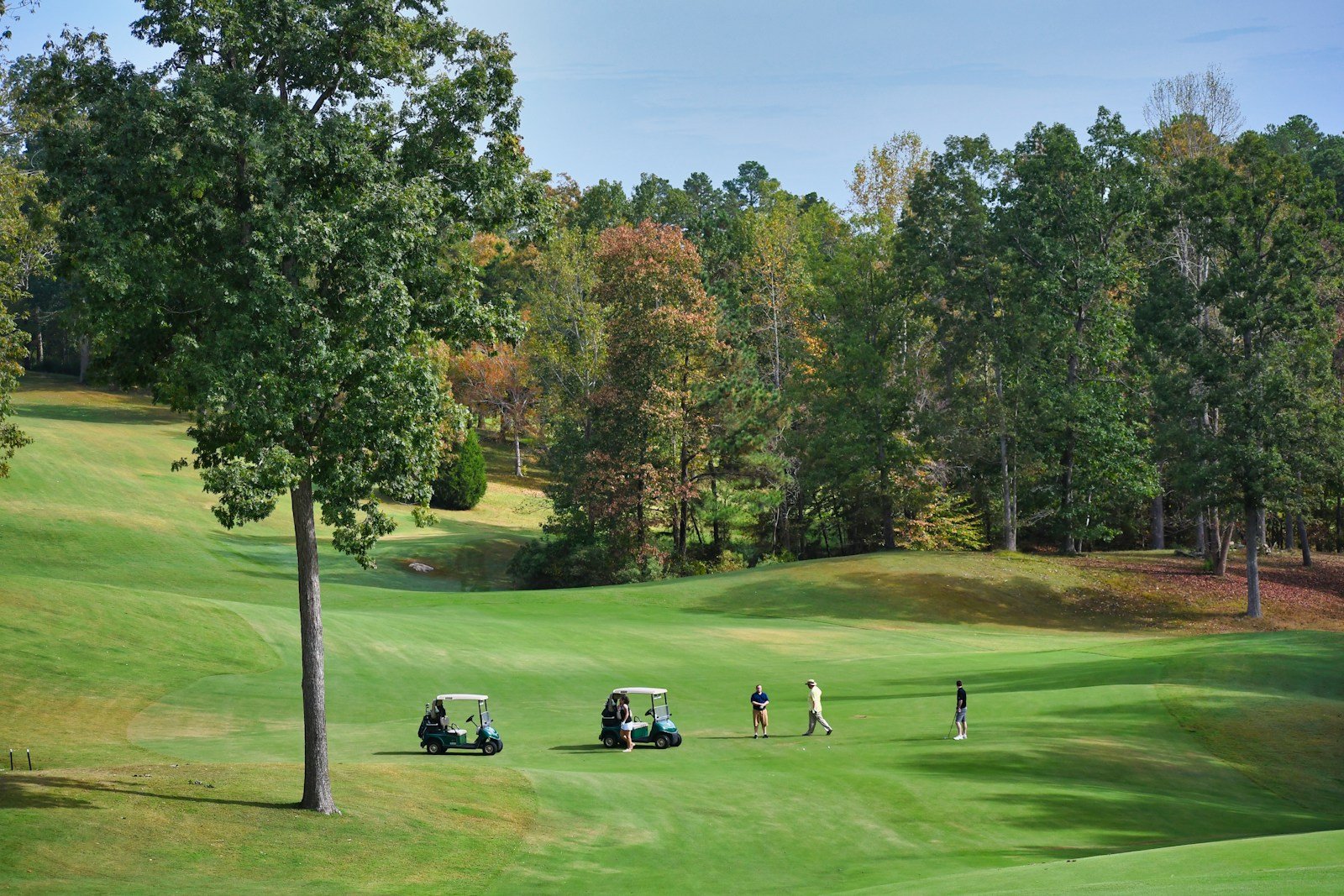 Two golf carts parked on a fairway while golfers play in the distance