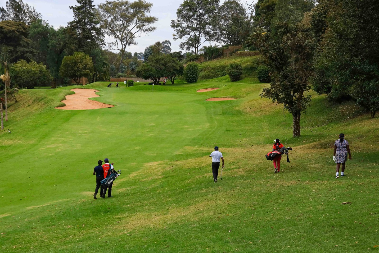 Caddie carrying a bag down the fairway: how much to tip a caddie after the round